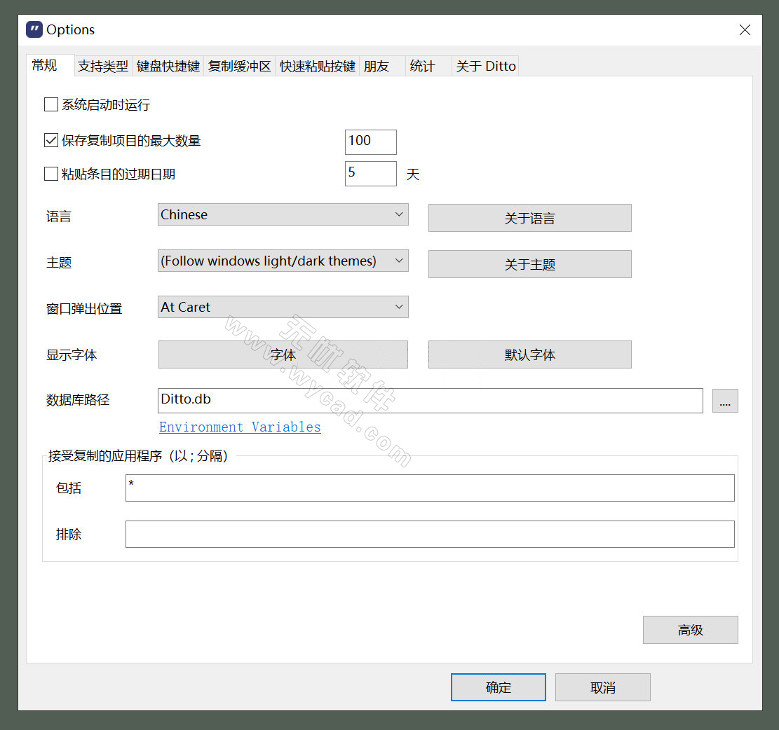 Windows剪贴板工具 | Ditto v3.25.76.0 中文绿色版