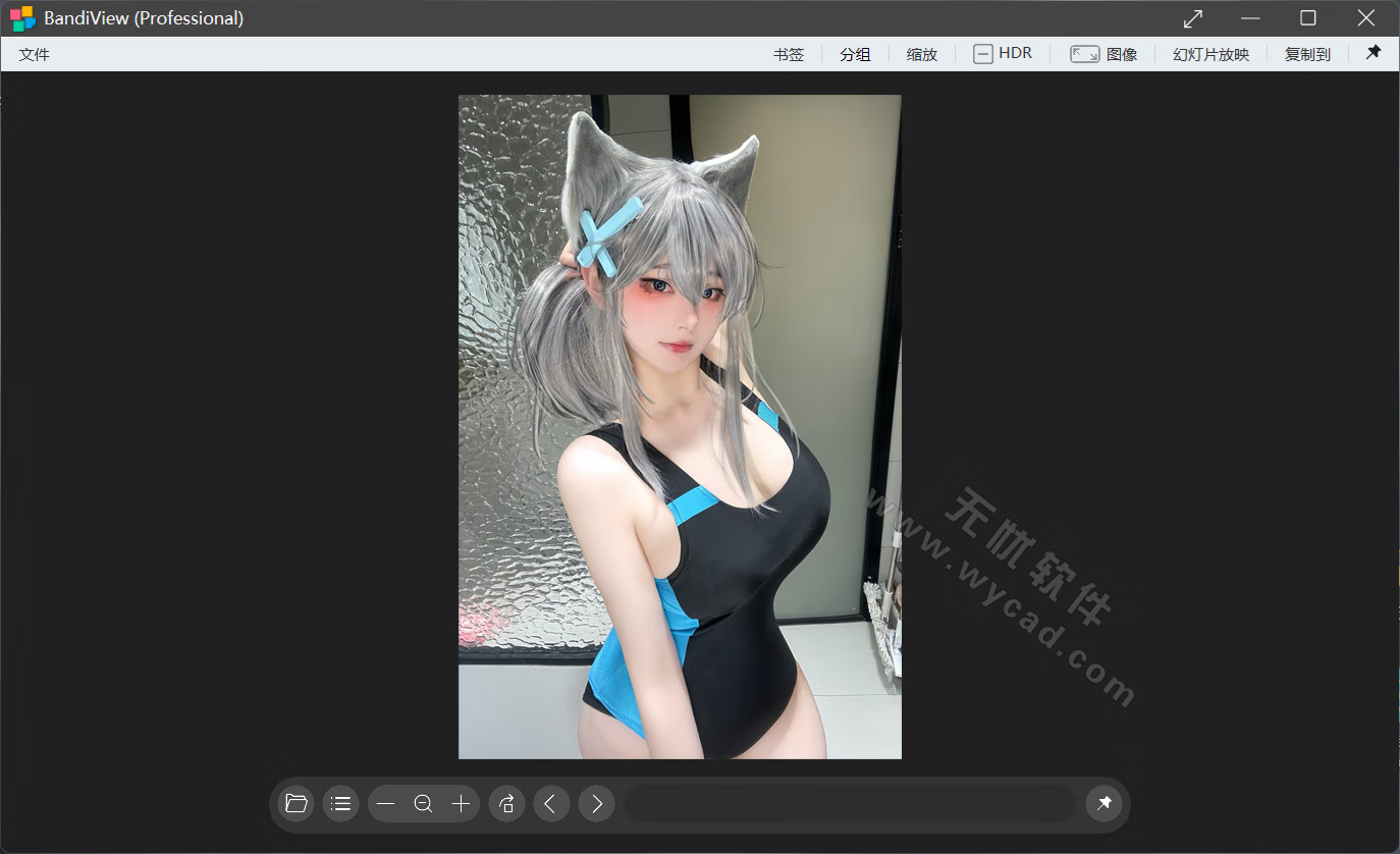 图像查看及转换器 | BandiView v7.23 中文绿色版 & 安装版