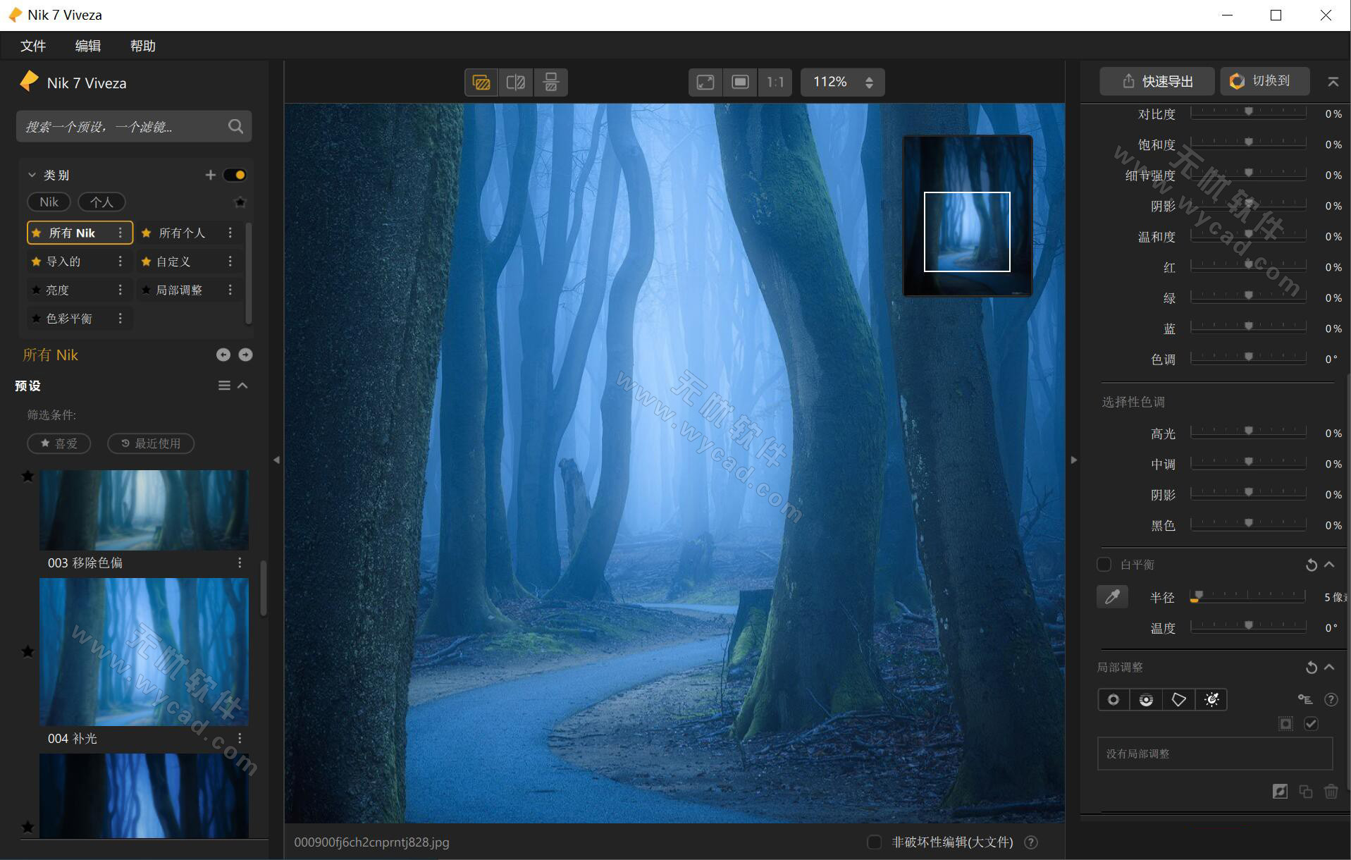 Nik Collection by DxO(摄影师必备PS滤镜) v8.1.2 中文破解版