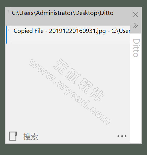 Windows剪贴板工具 | Ditto v3.25.76.0 中文绿色版