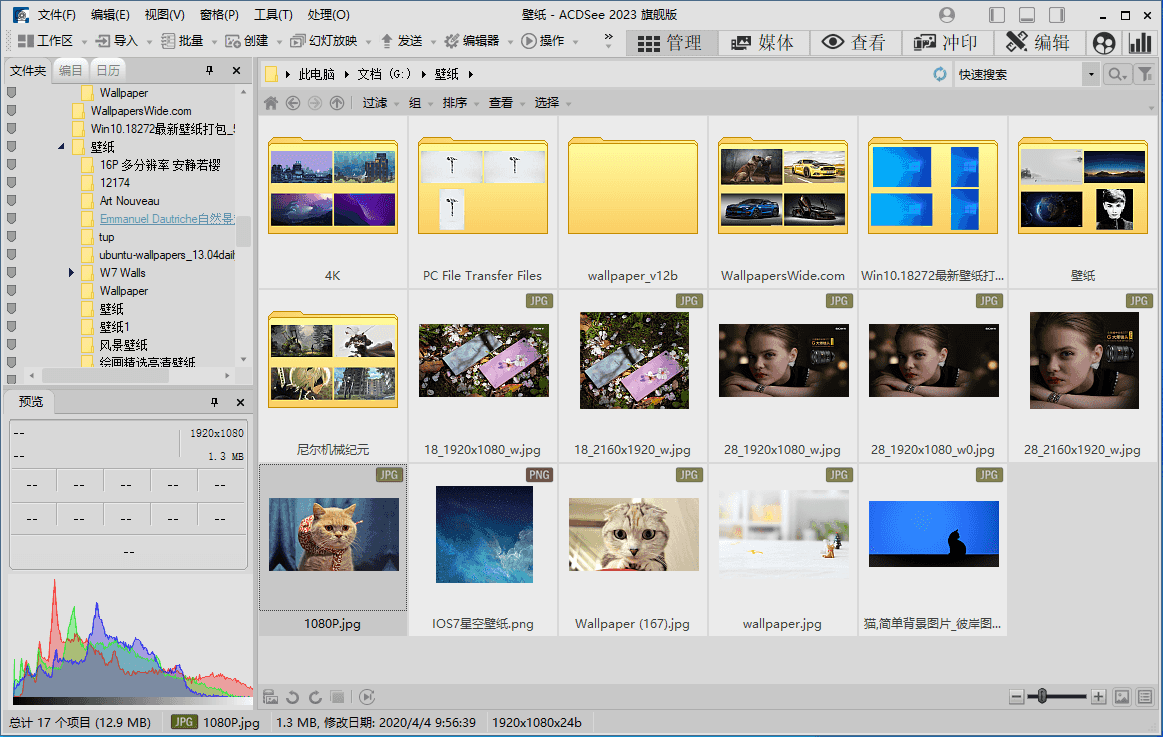ACDSee Ultimate 旗舰精简版 | ACDSee2025（18.1.0.4080）