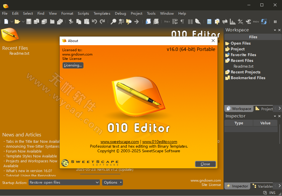 十六进制编辑器 | SweetScape 010 Editor v16.0.1 中英文破解版